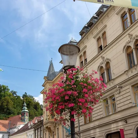 Two-bedroom Erjavceva